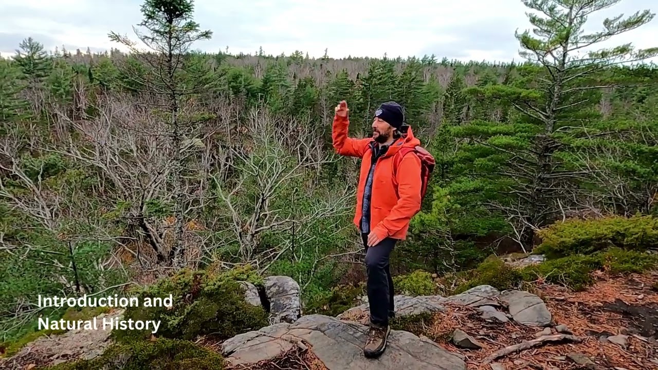 Getting into Nature: The Blue Mountain Birch Cove Lakes Wilderness Area