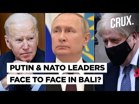 G20 Showdown In Bali Amid Ukraine War? | Putin Likely To Attend Along With NATO Leaders & Zelensky