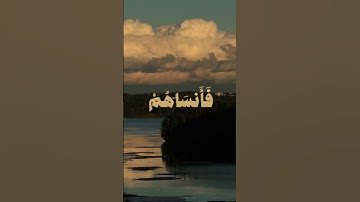 أرح سمعك تلاوة هادئة وراحة نفسية #قران_كريم #تلاوة_خاشعة #تلاوة_هادئة #القارئ_عبدالباسط_عبدالصمد