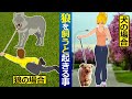 狼は犬のように飼いならせるか