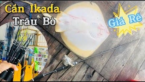 Cần Ikada Trâu Bò Về Cuối Năm