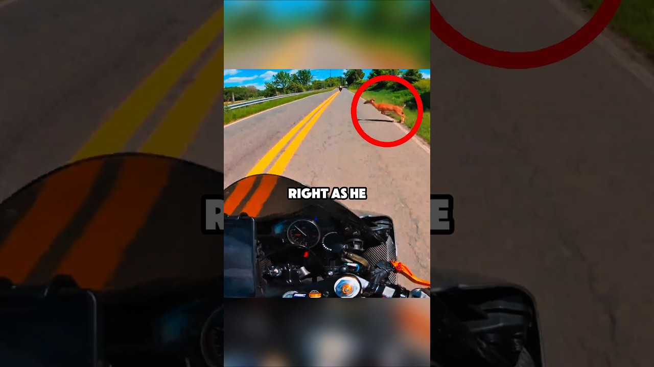 Biker hits a deer!😳
