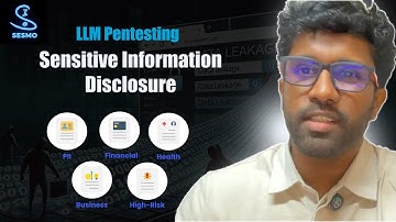 4 | LLM Pentesting with OWASP Top 10 | LLM02:2025 Sensitive Information Disclosure (Lab)