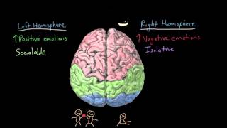 06   Emotion   02   Emotions  cerebral hemispheres and prefrontal cortex