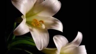 Happy Easter Everyone