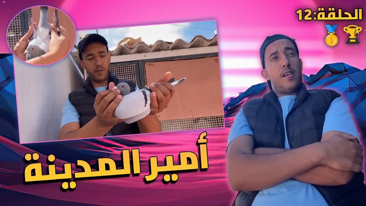 الحلقة 12 : سلسلة التعريف بالسلالات 🥇🏆 مع البطل الكبير 👈🏻 أمير المدينة 🧨💥