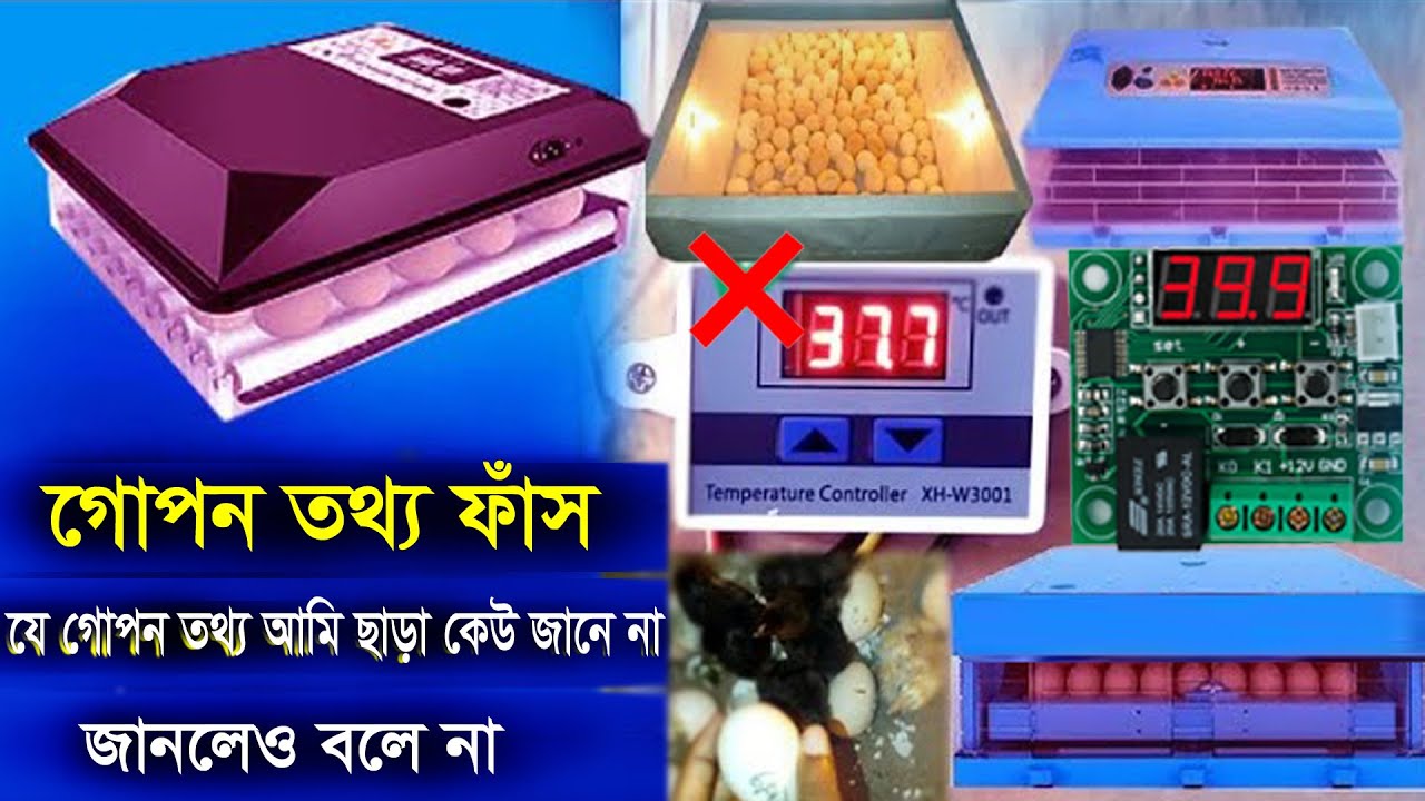 যে কারণে W1209 এবং XH-W3001 সার্কিট দিয়ে ইনকিউবেটর তৈরি করে হাজার ...