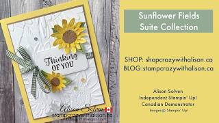 Sunflower Fields Suite Collection