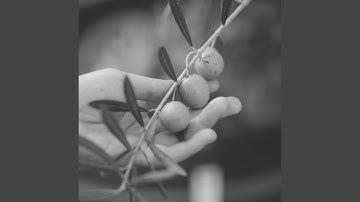 Mind-blowing Backdrops for Heat Therapy