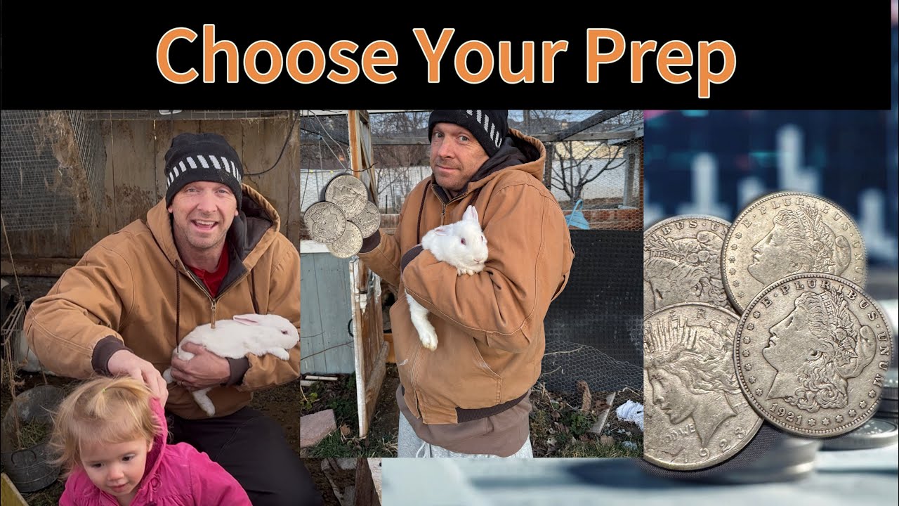 Rabbit Colony, and Silver Prices. Choose your Prep! ￼