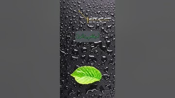 سورة الرعد الآية 33-34