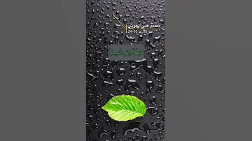 سورة الرعد الآية 33 34 