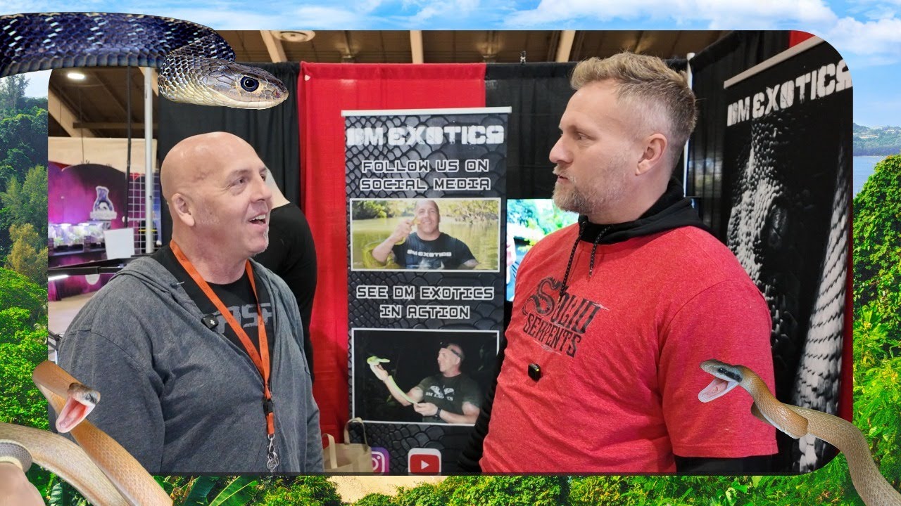 Talking Snakes with Dan from DM EXOTICS