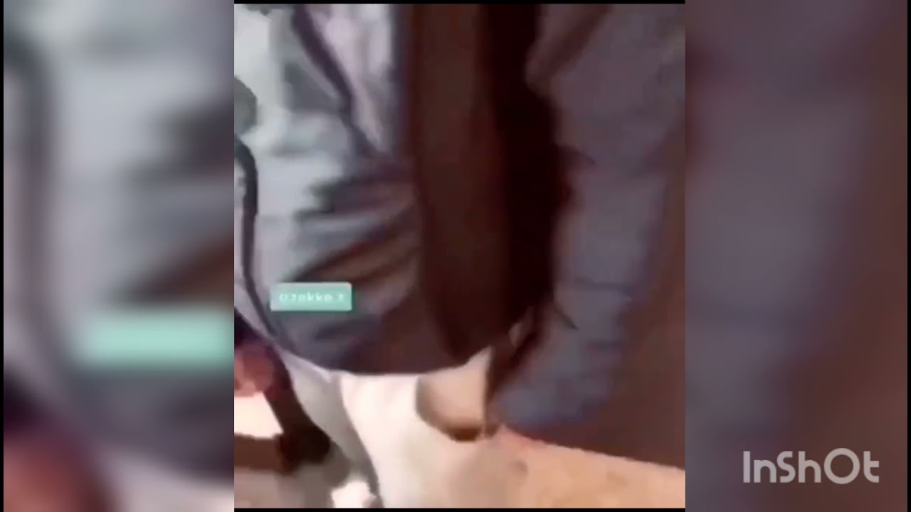 Empty the compartments of your Pantaloons - YouTube