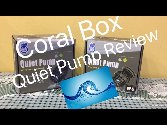 Coral Box Quiet Pump Review - YouTube