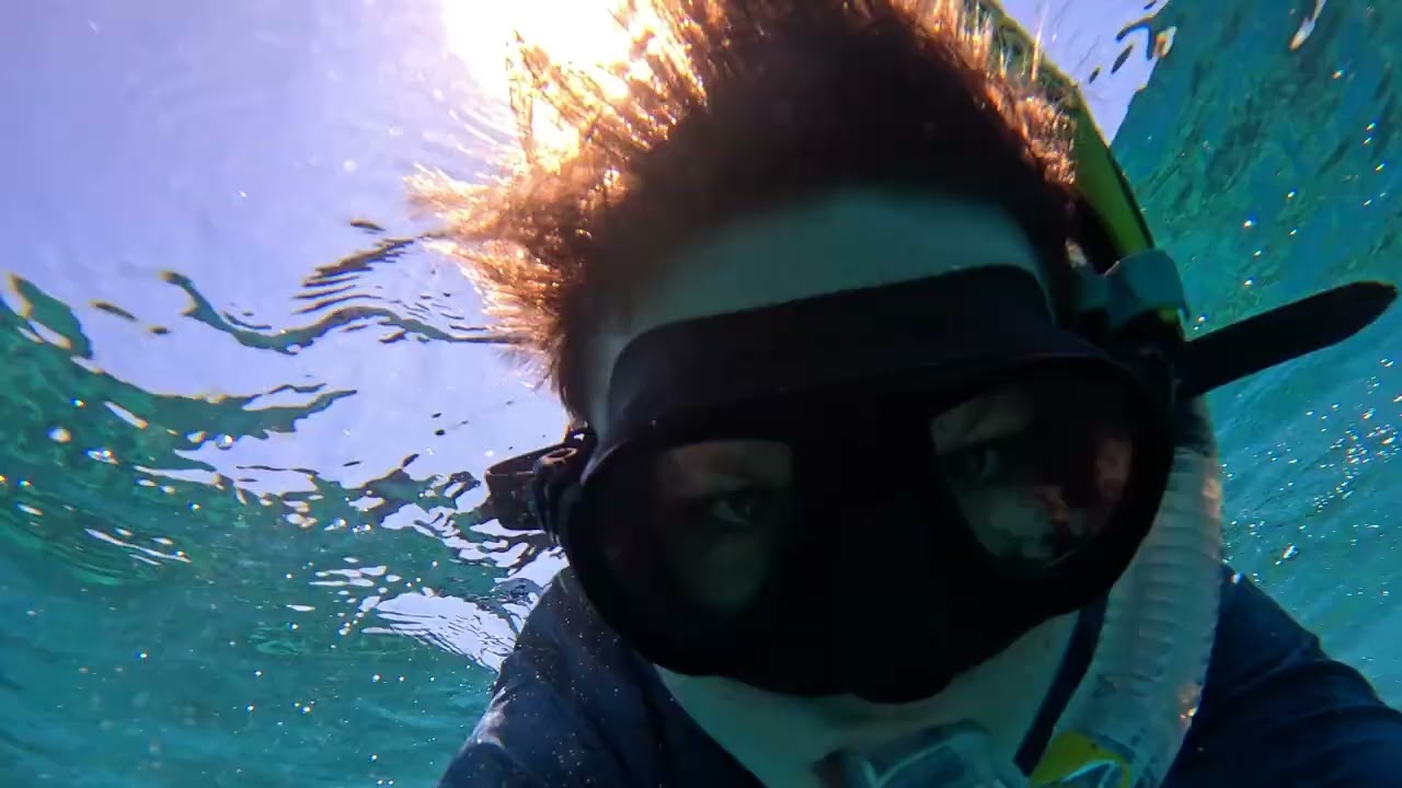 Quick day to the Outer Great Reef from Port Douglas
