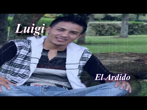 EL ARDIDO LUIGI VIDEO YOUTUBE