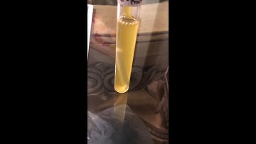 Week 5 - Biochemical Testing for Microbial Indentification: Carbohydrate Fermentation Testing