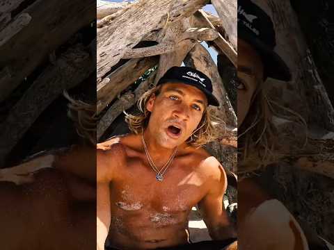 I built a driftwood shelter to survive this deadly island #shelter #survival #primitive #fishing
