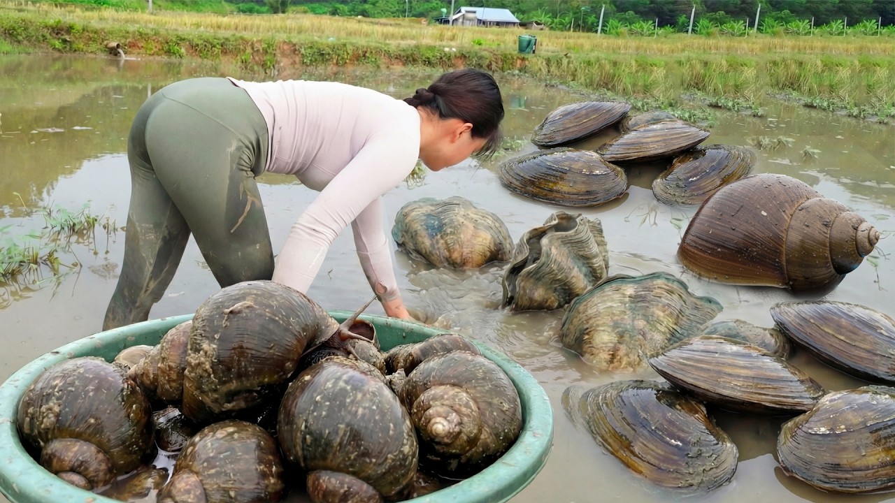 REWIND TIMELAPSE -- Harvesting A Lot Of Big Snails, Turtle, Frog Go To Countryside Market Sell