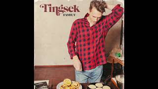 Video thumbnail of "Tingsek - Family (Music only)"