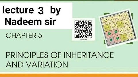principal of inheritance lecture [3] by Nadeem sir #neet2024 |monohybrid cross| Shaheen group