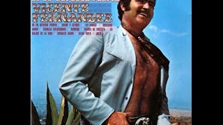 Download Lagu Mix exitos Vicente Fernandez 2 HD MP3