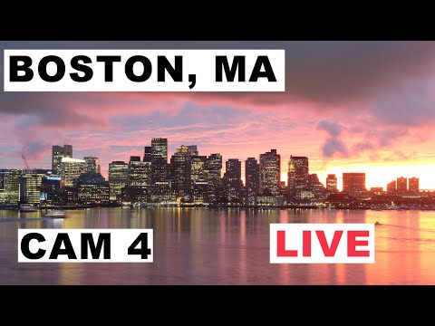 Hyatt Boston Harbor Cam live cam preview
