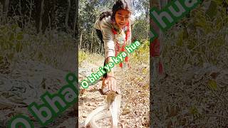 Snake videos ।। Free handing venomous snakes release short video #shorts #trending #song