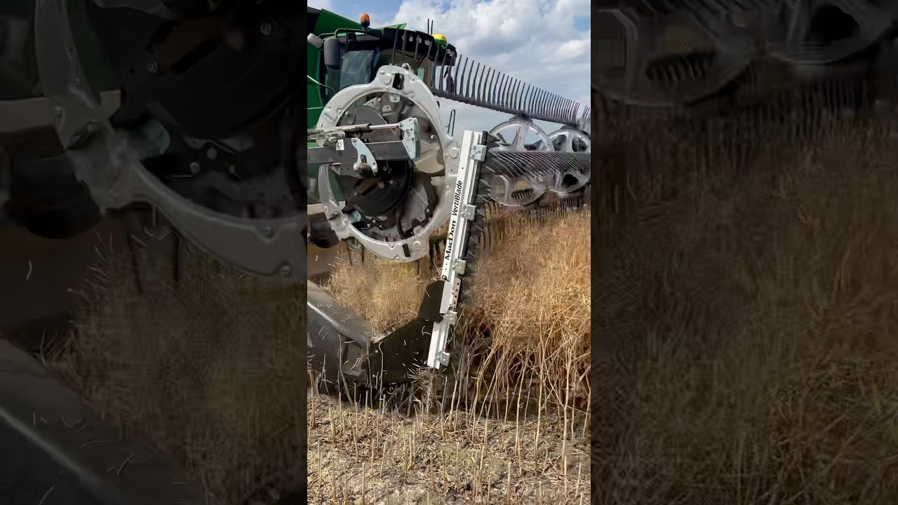 MacDon FD230 на збиранні ріпаку 