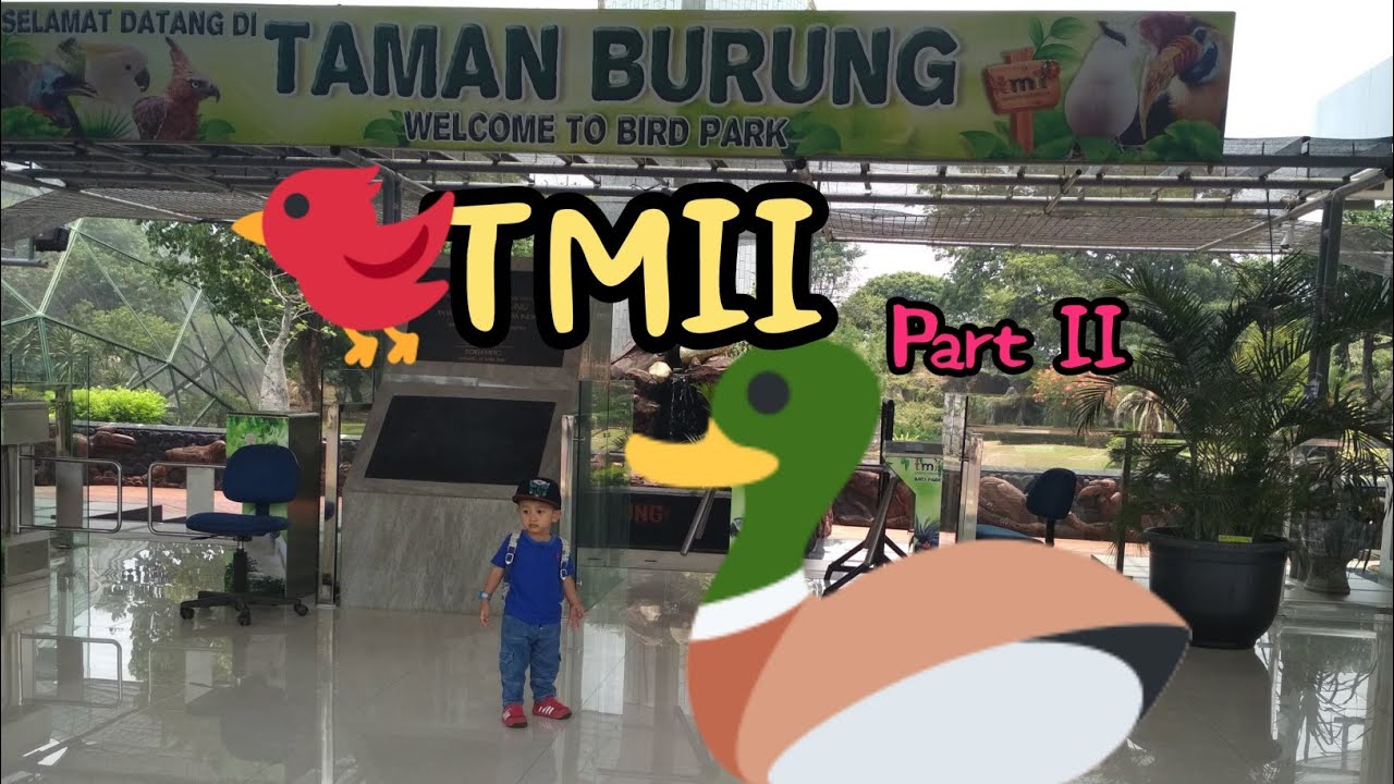 Taman Burung Di Taman Mini Indonesia Indah Part 2 Youtube
