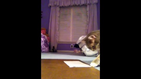 Testing for generalization