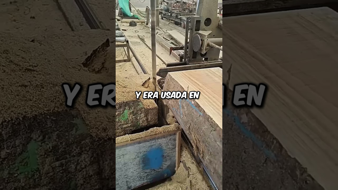 Estas son las maderas más duras del mundo