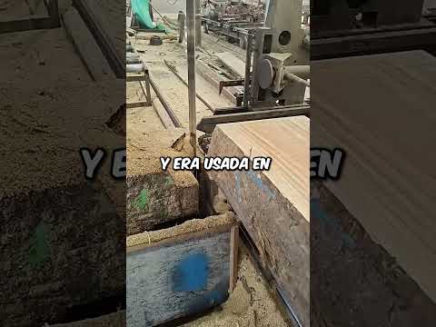 Estas son las maderas más duras del mundo