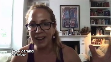 Ayşe Zarakol on international hierarchy, order decline, and stigmatization