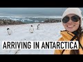 SAILING ANTARCTICA | First penguin spotting