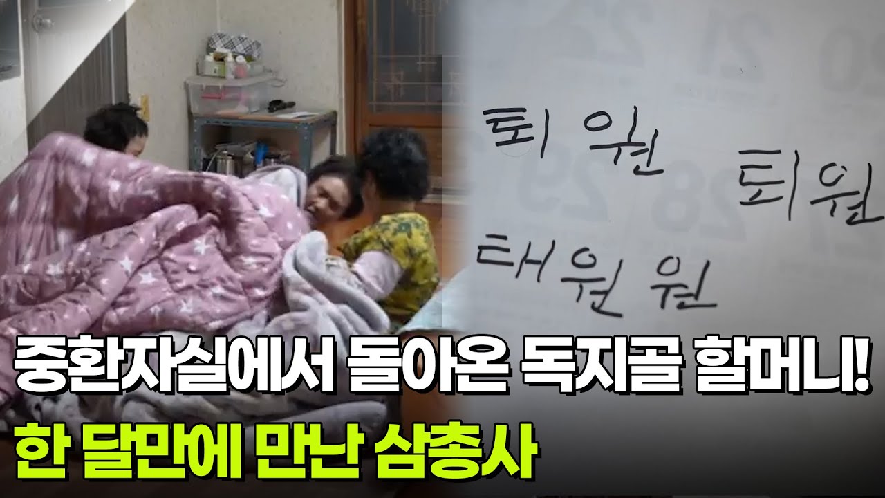 중환자실에서 돌아온 독지골 할머니! 한 달만에 만난 삼총사 [설 특집 다큐 메주꽃 필무렵] | KBS 260217 방송