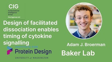Design of facilitated dissociation enables timing of cytokine signalling