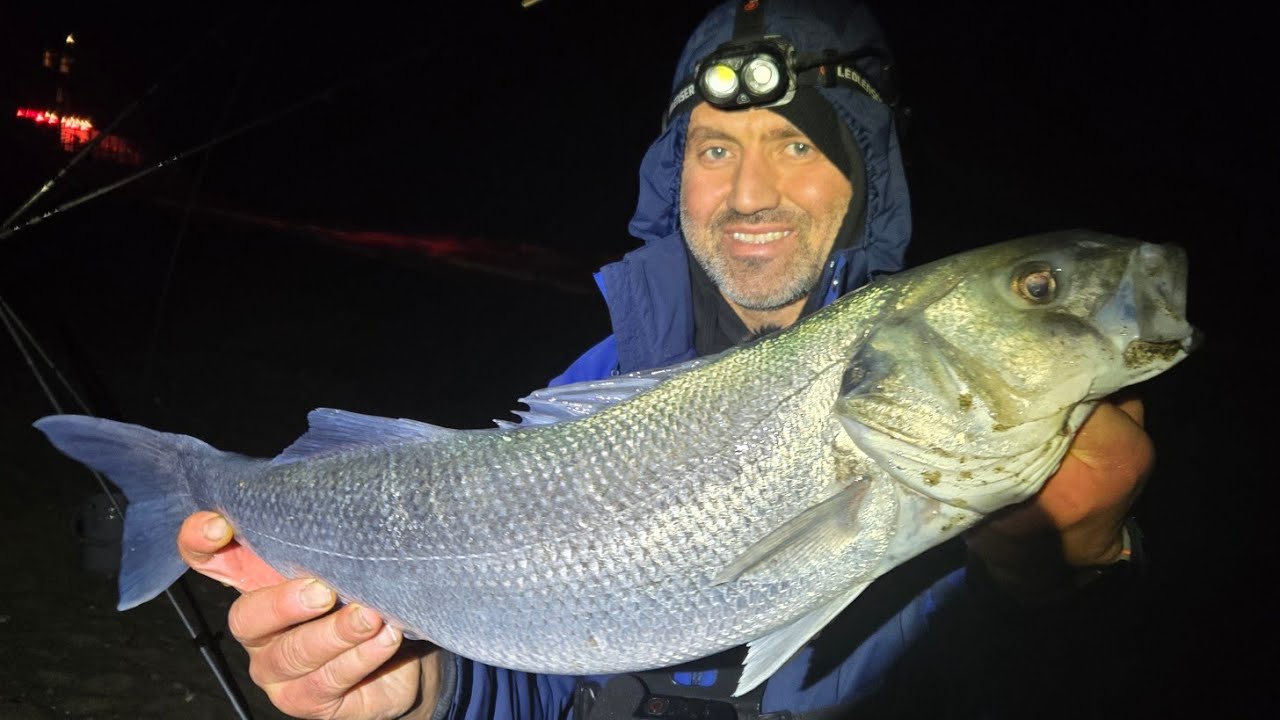 3 РАЗНЫХ ЗНАКА И ОДИН ОГРОМНЫЙ ОКУНЬ НА ПОЛУОСТРОВЕ ЛЛИН | ЛОВЛЯ ОКУНЯ В СЕВЕРНОМ УЭЛЬСЕ | НОВЫЙ ...