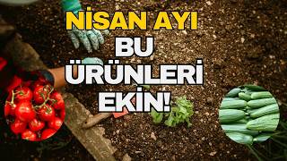 Nisan Ayı Ekilebilecek En Verimli Sebzeler Ve Bakım Sırları