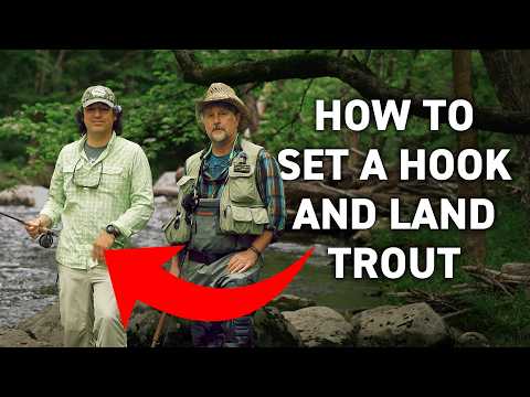 Setting the Hook