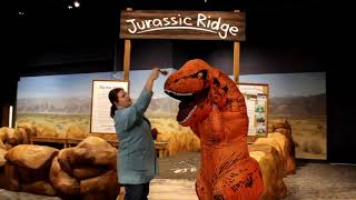 Whats the difference between paleontology and archaeology