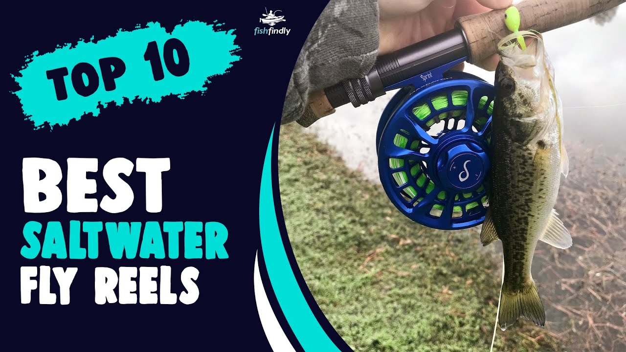 Best Saltwater Fly Reels in 2021 Top Most Quality! Best Saltwater Fly Reels in 2021 Top Most Quality!