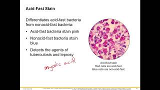 Microscopic Specimen Preparation