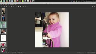 Linux Mint 19.3 Codename Tricia Overview & Software