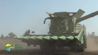 2024 Corn Variety Trial Harvest