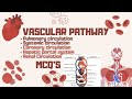 Circulation| VASCULAR PATHWAY | Pulmonary &amp; Systemic circulation MCQ'S for MDCAT| HEC-USAT| 