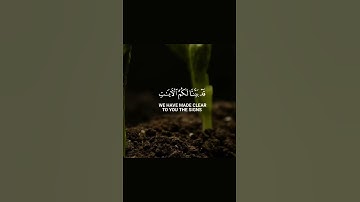 اجمل ايات قرانيه صوت🌿 جميل رحه نفسيه القلوب تلاوه خاشعه للشيخ القارئ ياسر الدوسري🌿 سوره الحديد🌿♥️
