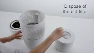 Core 300 Replacement filter Wealth