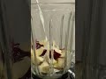 Banana apple smoothie 🍌🍎Made with milk, soft and tasty #food #life #vlog #rek